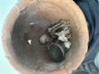Ver foto 14