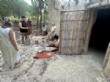 Ver foto 25