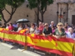 Ver foto 28