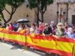 Ver foto 82