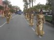 Ver foto 43