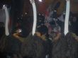 Ver foto 15