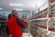 EL LOCAL SOCIAL DEL BARRIO SAN FRANCISCO ACOGE LA VII EDICIÓN DE LA "EXHIBICIÓN ORNITOLÓGICA FIESTAS SANTA EULALIA" CON LA PARTICIPACIÓN DE CERCA DE 600 EJEMPLARES - Foto 1