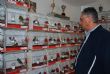 EL LOCAL SOCIAL DEL BARRIO SAN FRANCISCO ACOGE LA VII EDICIÓN DE LA "EXHIBICIÓN ORNITOLÓGICA FIESTAS SANTA EULALIA" CON LA PARTICIPACIÓN DE CERCA DE 600 EJEMPLARES - Foto 15