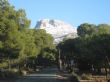 Ver foto 8