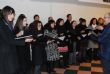 Ver foto 34