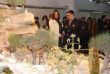 Ver foto 45