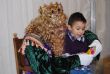 Ver foto 12