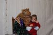 Ver foto 38