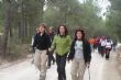 Ver foto 13