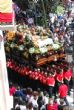 Ver foto 174