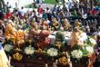 Ver foto 156