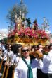 Ver foto 210